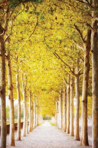 Susan Richey: Pathway Lined With Trees Artistic Painting II by Susan Richey