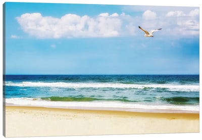 Peaceful Beach With Seagull Soaring II Canvas Art Print - Susan Richey