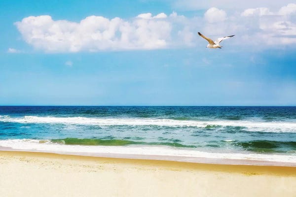 Susan Richey: Peaceful Beach With Seagull Soaring II by Susan Richey