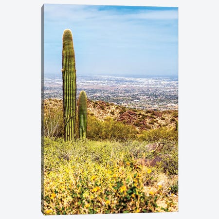Phoenix Arizona Desert With Saguaro Cactus And Cityscape Canvas Print #SMZ117} by Susan Schmitz Canvas Art Print