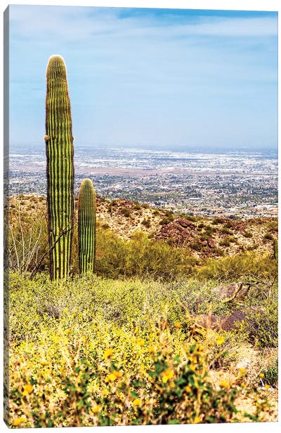Phoenix Arizona Desert With Saguaro Cactus And Cityscape Canvas Art Print - Phoenix Art