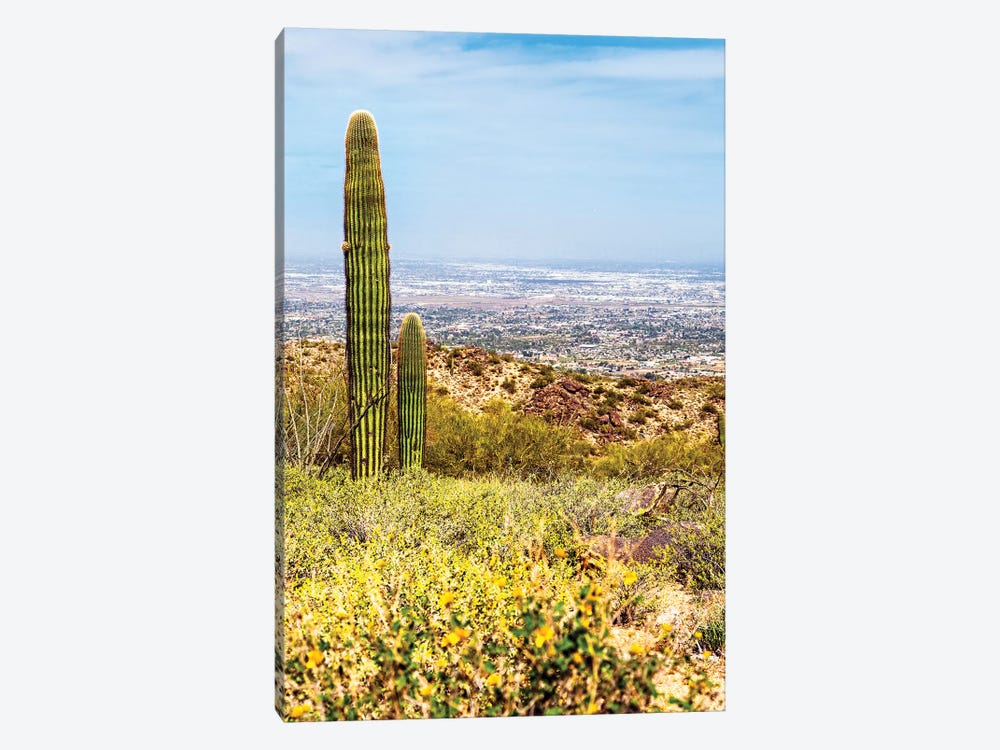Phoenix Arizona Desert With Saguaro Cactus And Cityscape by Susan Richey 1-piece Canvas Wall Art