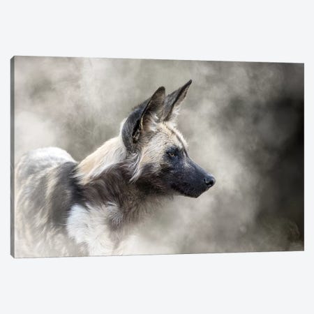 African Wild Dog In The Dust Canvas Print #SMZ11} by Susan Richey Canvas Art Print