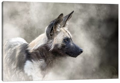 African Wild Dog In The Dust Canvas Art Print - Wildlife Conservation Art