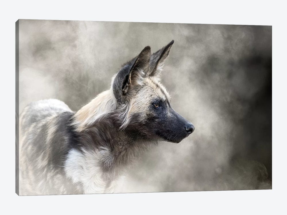 African Wild Dog In The Dust by Susan Richey 1-piece Canvas Wall Art