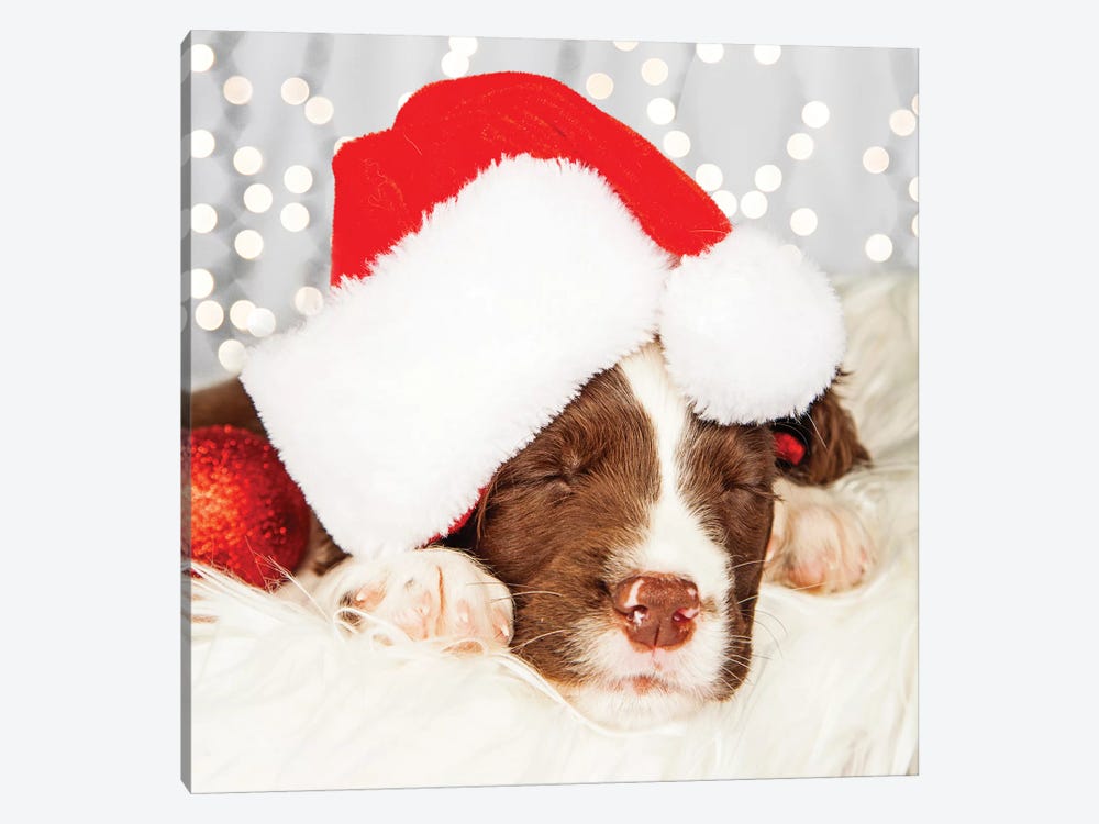 Puppy Wearing Santa Hat While Napping On Fur II by Susan Richey 1-piece Canvas Wall Art