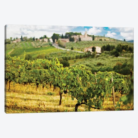 Rows Of Grapes In Tuscany Italy Vineyard Canvas Print #SMZ136} by Susan Schmitz Art Print