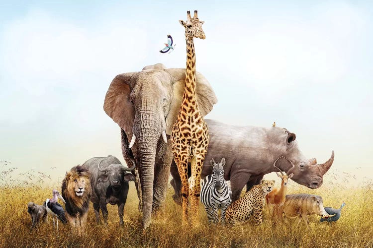 African Safari 4K - Amazing Wildlife of African Savanna