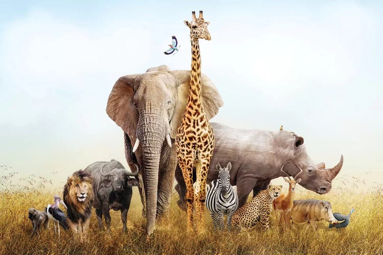 Safari Animals In Africa Composite