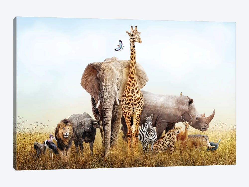 Safari Animals In Africa Composite by Susan Richey 1-piece Canvas Artwork