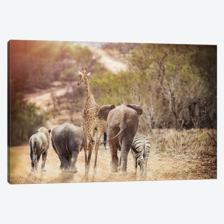Safari Animals Walking Away Down Path Canvas Print #SMZ138} by Susan Richey Canvas Artwork