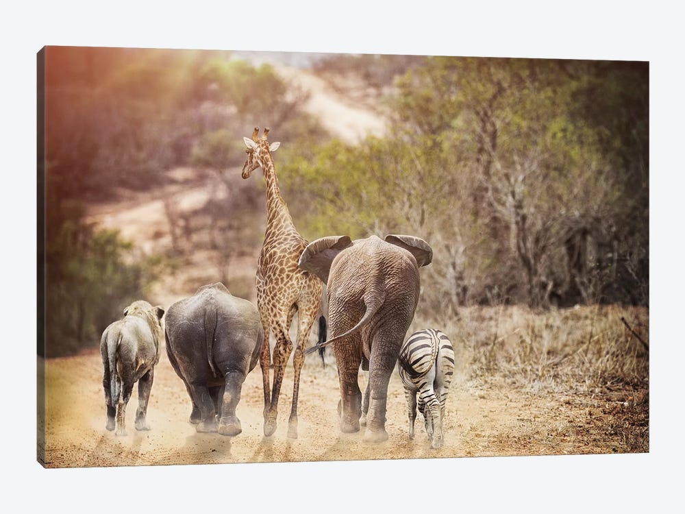 Safari Animals Walking Away Down Path by Susan Richey 1-piece Canvas Art Print
