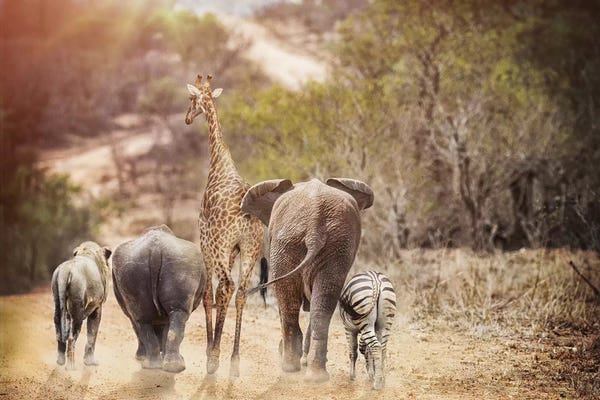 Susan Richey: Safari Animals Walking Away Down Path by Susan Richey