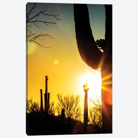 Saguaro Cactus Silhouette At Colorful Sunrise Canvas Print #SMZ139} by Susan Richey Canvas Art
