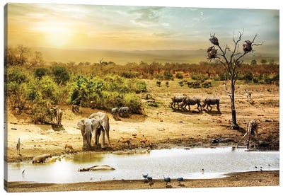 South African Safari Wildlife Fantasy Scene II Canvas Art Print - Elephant Art