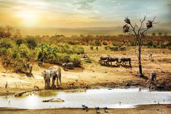 Elephants: South African Safari Wildlife Fantasy Scene II by Susan Richey