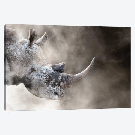 Southern White Rhino In The Dust Canvas Print #SMZ146} by Susan Schmitz Canvas Artwork