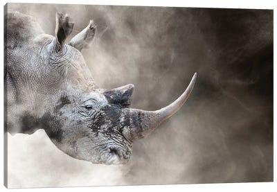Southern White Rhino In The Dust Canvas Art Print - Rhinoceros Art