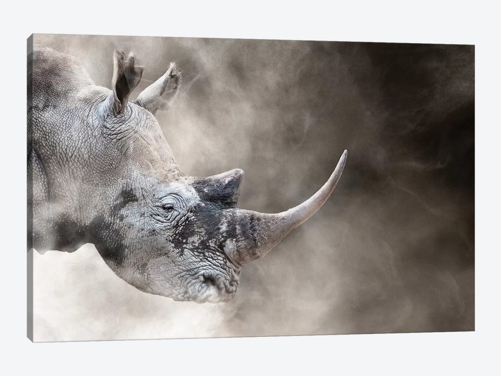 Southern White Rhino In The Dust by Susan Richey 1-piece Canvas Wall Art
