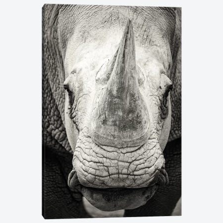 Southern White Rhinoceros Closeup Black And White Canvas Print #SMZ147} by Susan Richey Canvas Artwork