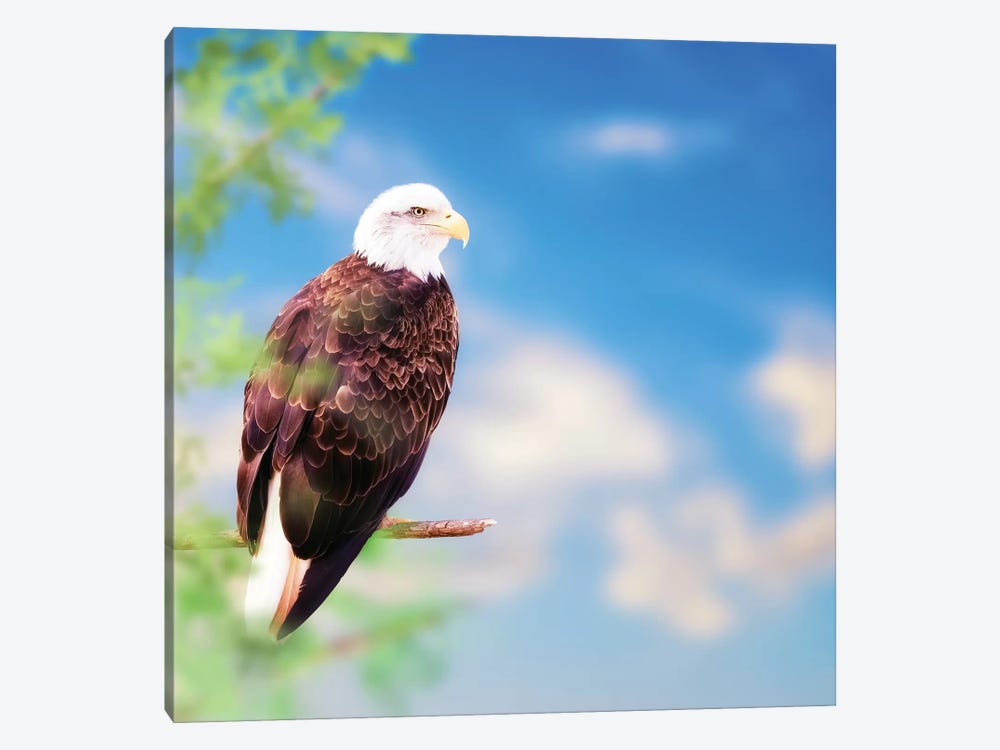 American Bald Eagle Perched On Tree by Susan Richey 1-piece Art Print