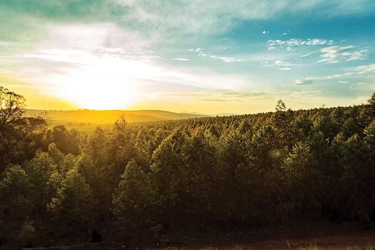 Sunset Over Trees And Hills In South Africa