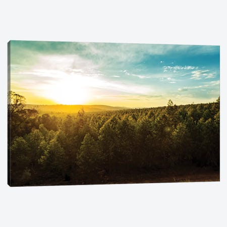 Sunset Over Trees And Hills In South Africa Canvas Print #SMZ156} by Susan Richey Canvas Print