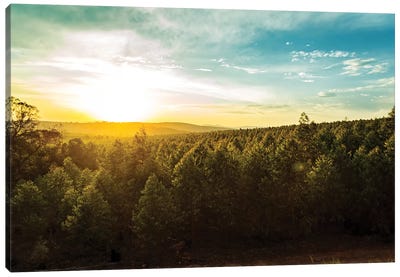 Sunset Over Trees And Hills In South Africa Canvas Art Print - South Africa