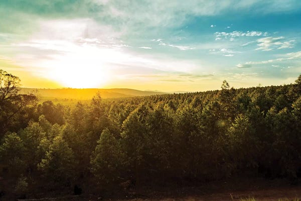 South Africa: Sunset Over Trees And Hills In South Africa by Susan Richey