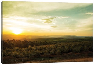 Sunset Over Valley In Mpumalanga South Africa Canvas Art Print - Susan Richey