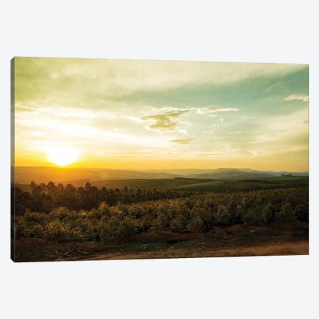 Sunset Over Valley In Mpumalanga South Africa Canvas Print #SMZ157} by Susan Richey Art Print