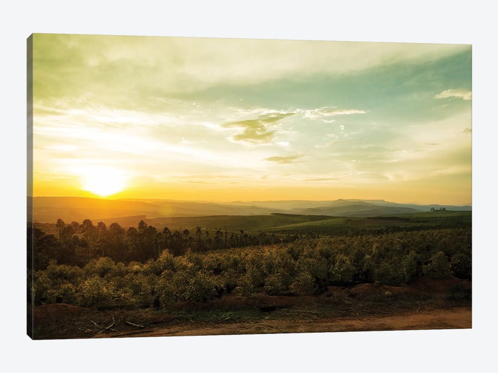 Sunset Over Valley In Mpumalanga South Africa by Susan Richey 1-piece Canvas Art