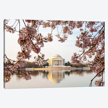 Thomas Jefferson Memorial Framed By Cherry Blossoms Canvas Print #SMZ158} by Susan Schmitz Canvas Artwork