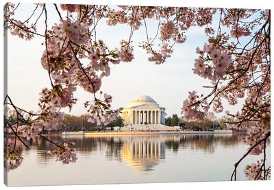 Thomas Jefferson Memorial Framed By Cherry Blossoms Canvas Art Print - Blossom Art