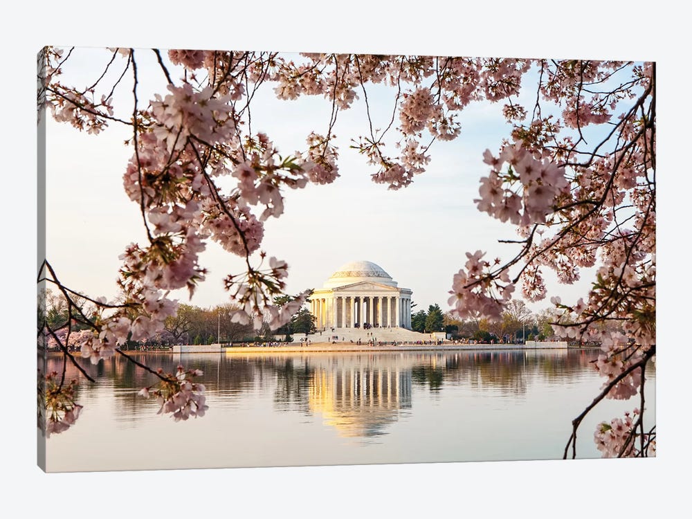 Thomas Jefferson Memorial Framed By Cherry Blossoms by Susan Richey 1-piece Canvas Print