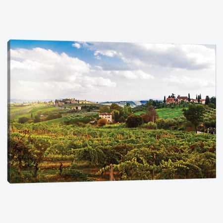Tuscany Italy Vineyard And Countryside Canvas Print #SMZ161} by Susan Richey Canvas Print