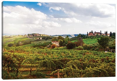 Tuscany Italy Vineyard And Countryside Canvas Art Print - Vineyard Art