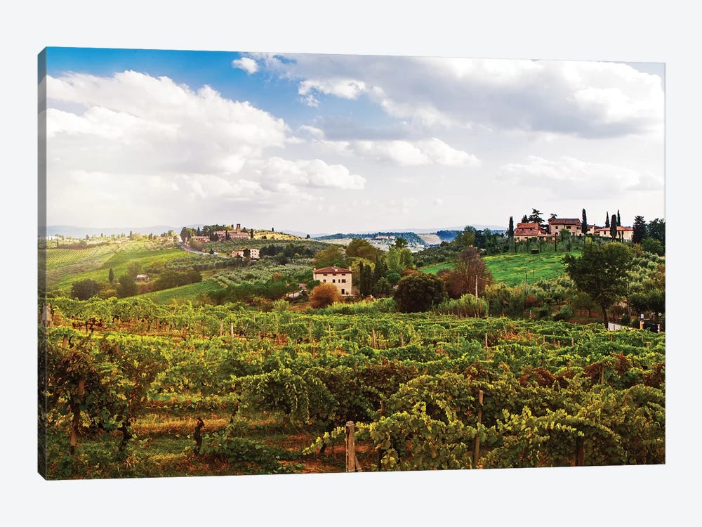 Tuscany Italy Vineyard And Countryside by Susan Richey 1-piece Canvas Print