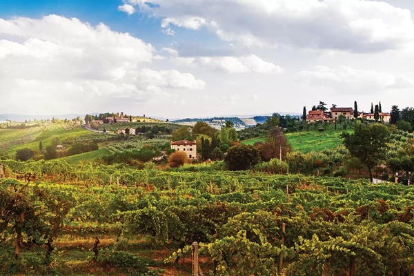 Vineyards: Tuscany Italy Vineyard And Countryside by Susan Richey