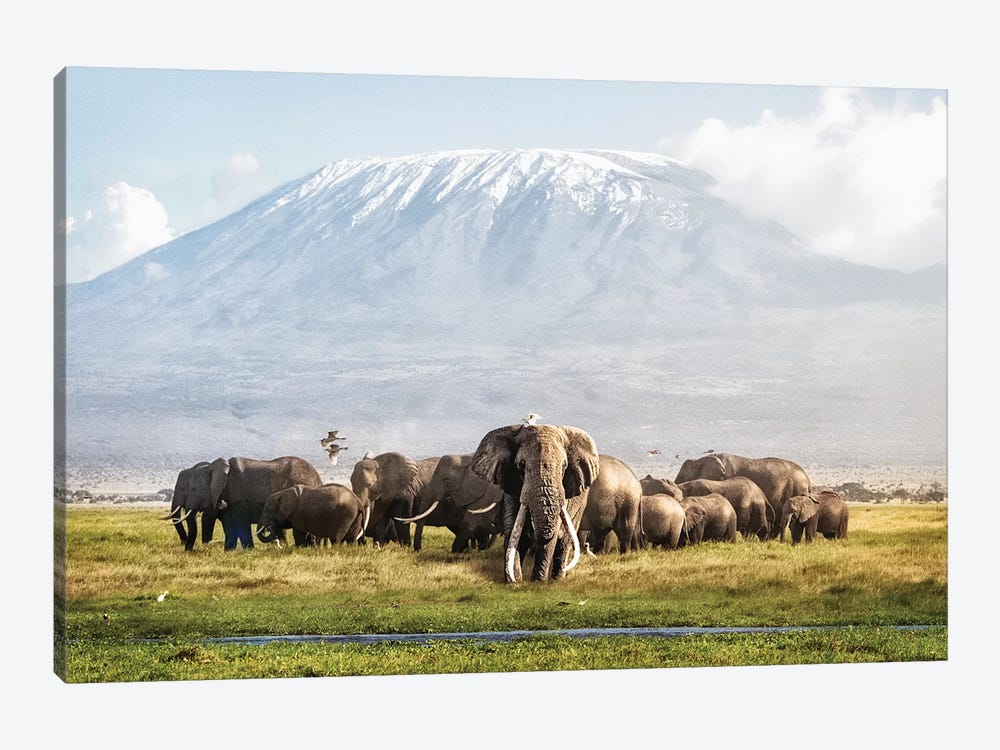 Tusker Tim And Family In Front Of Kilimanjaro by Susan Richey 1-piece Canvas Artwork