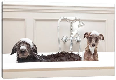 Two Funny Wet Dogs In Bathtub Canvas Art Print - Kids Bathroom Art