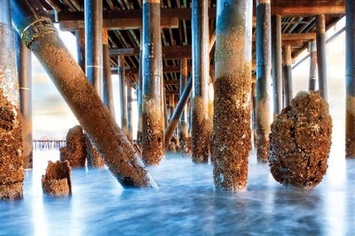 Under Stearns Wharf In Santa Barbara California by Susan Richey canvas print