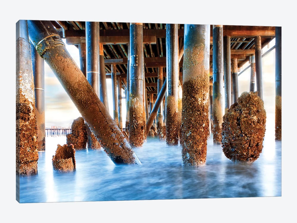Under Stearns Wharf In Santa Barbara California by Susan Richey 1-piece Canvas Art
