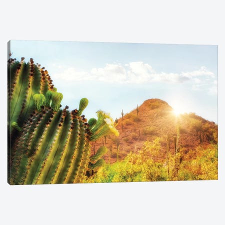 Arizona Desert Scene With Mountain And Cactus Canvas Print #SMZ16} by Susan Richey Canvas Art
