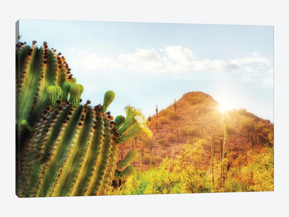 Arizona Desert Scene With Mountain And Cactus by Susan Richey 1-piece Canvas Print