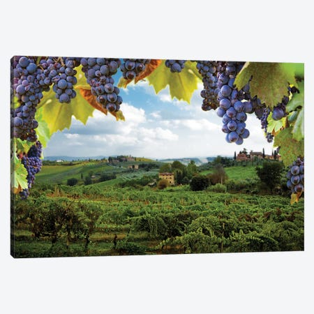 Vineyards In San Gimignano Italy Canvas Print #SMZ171} by Susan Richey Canvas Artwork