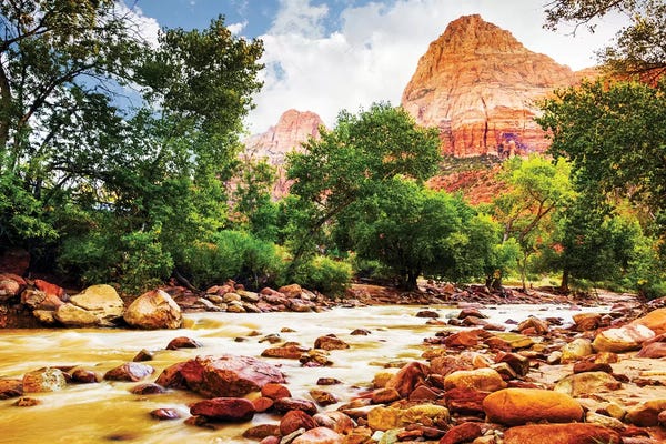 Susan Richey: Virgin River In Zion National Park - Utah USA by Susan Richey