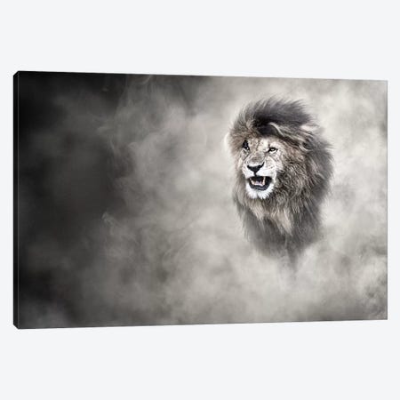 Vulnerable African Lion In The Dust Canvas Print #SMZ174} by Susan Richey Art Print