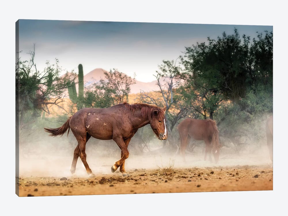 Wild Horse Running In Arizona Desert by Susan Richey 1-piece Canvas Artwork