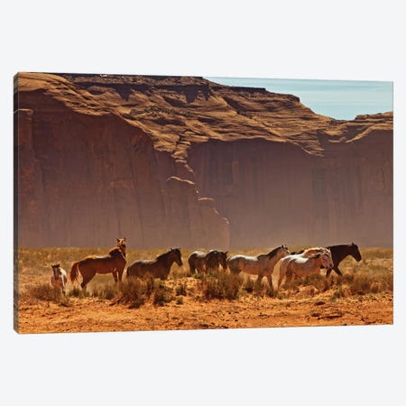 Wild Horses In Southern Utah Canvas Print #SMZ181} by Susan Richey Canvas Print